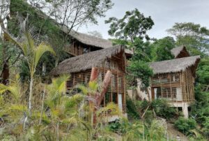 8b1a438a-5e93-4e19-a071-224916dad7b3