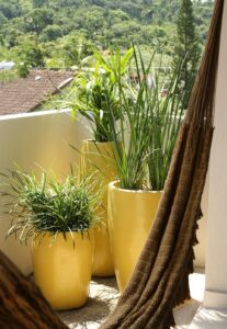 Casa Latino, Vacation rental, San Pancho. Real estate agent.