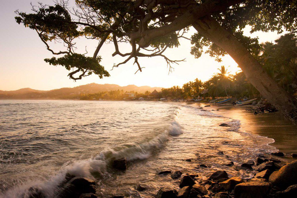 punta-sayulita-nature-