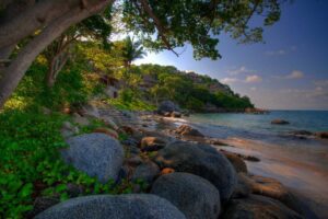 punta-sayulita-nature-1-6