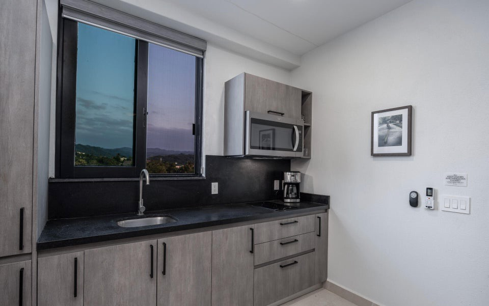 Mango 2 bed, Jungle View San Pancho Rentals, Sergio Madero real estate agent San Pancho