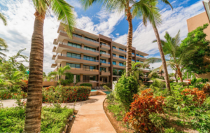 20241127190944176651000000-o