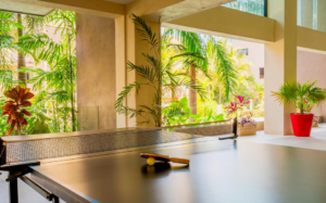 Penthouse ocean view San Pancho Rentals, Sergio Madero real estate agent San Pancho